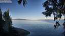./images/koeye/fitz-hugh/20250822/fitz-hugh20250822_082513M.jpg
