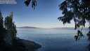 ./images/koeye/fitz-hugh/20250822/fitz-hugh20250822_083011M.jpg