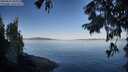 ./images/koeye/fitz-hugh/20250822/fitz-hugh20250822_084011M.jpg