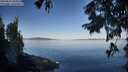 ./images/koeye/fitz-hugh/20250822/fitz-hugh20250822_084511M.jpg