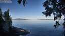 ./images/koeye/fitz-hugh/20250822/fitz-hugh20250822_085011M.jpg