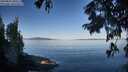 ./images/koeye/fitz-hugh/20250822/fitz-hugh20250822_085510M.jpg