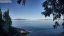./images/koeye/fitz-hugh/20250822/fitz-hugh20250822_090012M.jpg