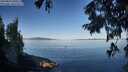 ./images/koeye/fitz-hugh/20250822/fitz-hugh20250822_090510M.jpg