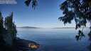 ./images/koeye/fitz-hugh/20250822/fitz-hugh20250822_091011M.jpg