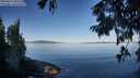 ./images/koeye/fitz-hugh/20250822/fitz-hugh20250822_091509M.jpg