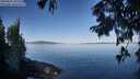 ./images/koeye/fitz-hugh/20250822/fitz-hugh20250822_092009M.jpg