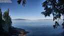 ./images/koeye/fitz-hugh/20250822/fitz-hugh20250822_092513M.jpg