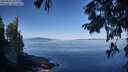 ./images/koeye/fitz-hugh/20250822/fitz-hugh20250822_093012M.jpg