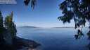 ./images/koeye/fitz-hugh/20250822/fitz-hugh20250822_093509M.jpg