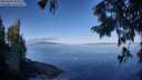 ./images/koeye/fitz-hugh/20250822/fitz-hugh20250822_094009M.jpg