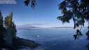 ./images/koeye/fitz-hugh/20250822/fitz-hugh20250822_094511M.jpg