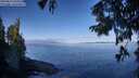 ./images/koeye/fitz-hugh/20250822/fitz-hugh20250822_095011M.jpg