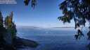 ./images/koeye/fitz-hugh/20250822/fitz-hugh20250822_095507M.jpg