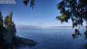 ./images/koeye/fitz-hugh/20250822/fitz-hugh20250822_100010M.jpg