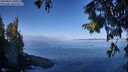 ./images/koeye/fitz-hugh/20250822/fitz-hugh20250822_100510M.jpg
