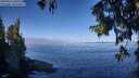 ./images/koeye/fitz-hugh/20250822/fitz-hugh20250822_101011M.jpg