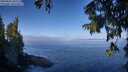 ./images/koeye/fitz-hugh/20250822/fitz-hugh20250822_101510M.jpg