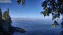 ./images/koeye/fitz-hugh/20250822/fitz-hugh20250822_102008M.jpg