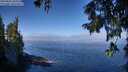 ./images/koeye/fitz-hugh/20250822/fitz-hugh20250822_102512M.jpg