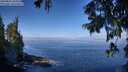 ./images/koeye/fitz-hugh/20250822/fitz-hugh20250822_103010M.jpg