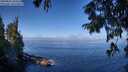 ./images/koeye/fitz-hugh/20250822/fitz-hugh20250822_103509M.jpg