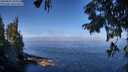 ./images/koeye/fitz-hugh/20250822/fitz-hugh20250822_104009M.jpg