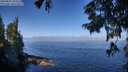 ./images/koeye/fitz-hugh/20250822/fitz-hugh20250822_104510M.jpg