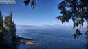 ./images/koeye/fitz-hugh/20250822/fitz-hugh20250822_105010M.jpg