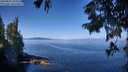 ./images/koeye/fitz-hugh/20250822/fitz-hugh20250822_105511M.jpg