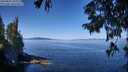 ./images/koeye/fitz-hugh/20250822/fitz-hugh20250822_110012M.jpg