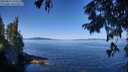 ./images/koeye/fitz-hugh/20250822/fitz-hugh20250822_110510M.jpg