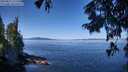 ./images/koeye/fitz-hugh/20250822/fitz-hugh20250822_111511M.jpg