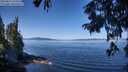 ./images/koeye/fitz-hugh/20250822/fitz-hugh20250822_112514M.jpg