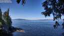 ./images/koeye/fitz-hugh/20250822/fitz-hugh20250822_113011M.jpg