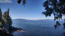./images/koeye/fitz-hugh/20250822/fitz-hugh20250822_113511M.jpg