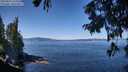 ./images/koeye/fitz-hugh/20250822/fitz-hugh20250822_114511M.jpg