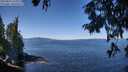 ./images/koeye/fitz-hugh/20250822/fitz-hugh20250822_115010M.jpg