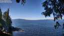 ./images/koeye/fitz-hugh/20250822/fitz-hugh20250822_115509M.jpg
