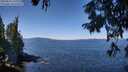 ./images/koeye/fitz-hugh/20250822/fitz-hugh20250822_120011M.jpg