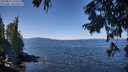 ./images/koeye/fitz-hugh/20250822/fitz-hugh20250822_120510M.jpg