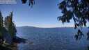 ./images/koeye/fitz-hugh/20250822/fitz-hugh20250822_121010M.jpg