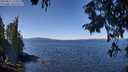 ./images/koeye/fitz-hugh/20250822/fitz-hugh20250822_121511M.jpg