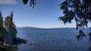 ./images/koeye/fitz-hugh/20250822/fitz-hugh20250822_122011M.jpg