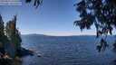 ./images/koeye/fitz-hugh/20250822/fitz-hugh20250822_122513M.jpg