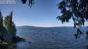 ./images/koeye/fitz-hugh/20250822/fitz-hugh20250822_123012M.jpg