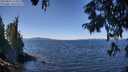 ./images/koeye/fitz-hugh/20250822/fitz-hugh20250822_123510M.jpg