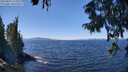 ./images/koeye/fitz-hugh/20250822/fitz-hugh20250822_125010M.jpg