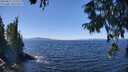 ./images/koeye/fitz-hugh/20250822/fitz-hugh20250822_125510M.jpg