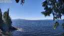 ./images/koeye/fitz-hugh/20250822/fitz-hugh20250822_130012M.jpg